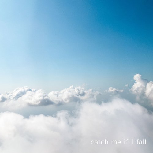 Catch Me If I Fall