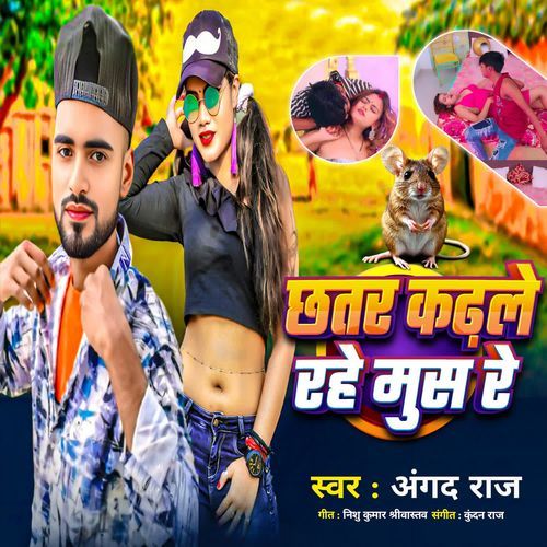 Chataer Kadle Rahe Mus Re