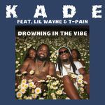 Drowning in the Vibe (feat. Lil Wayne &amp; T-Pain)