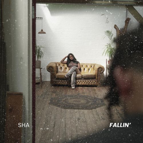 Fallin' (Remix) (Remix)
