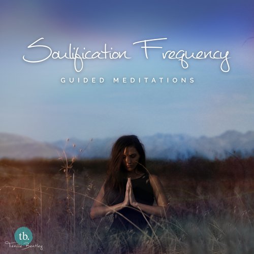 Guided Frequency Meditations