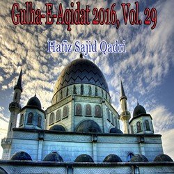 Gulha-e-Aqidat 2016, Vol. 29