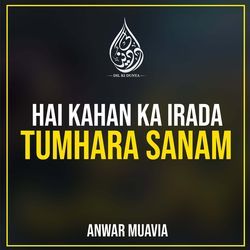 Hai Kahan Ka Irada Tumhara Sanam-CF4bRSAdb1w