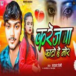 Karejwa Fato Hai Mor