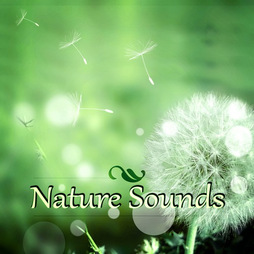 Nature Sounds – White Noise for Mindfullness Meditation, The Fountain Sounds of Nature, Massage, Spa Music, Yoga, Reiki