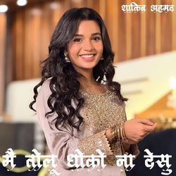 मैं तोलू धोको ना देसु