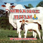 Seba Kar Gau Mata Ki