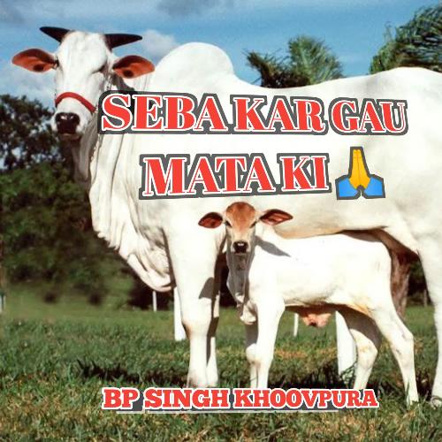 Seba Kar Gau Mata Ki