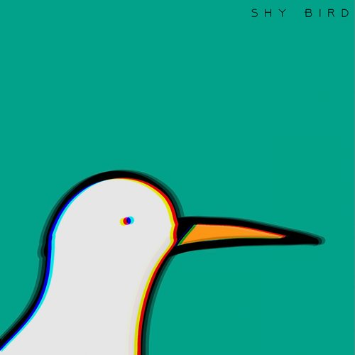 Shy Bird