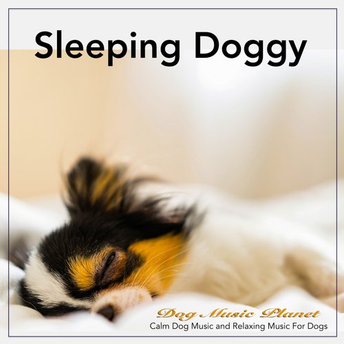 Sleeping Doggy: Calm Dog Music and Relaxing Music For Dogs_poster_image