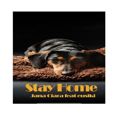 Stay Home! cover art
