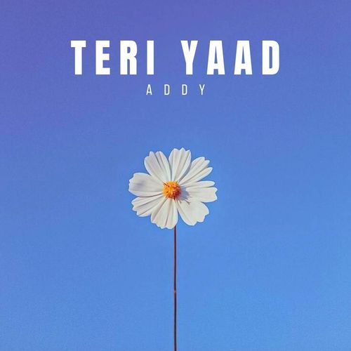 TERI YAAD