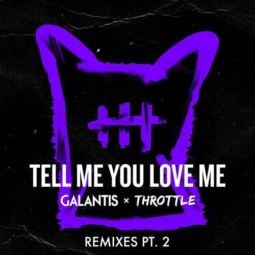 Tell Me You Love Me (Remixes Pt. 2)