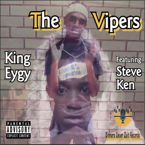 The Vipers cover art