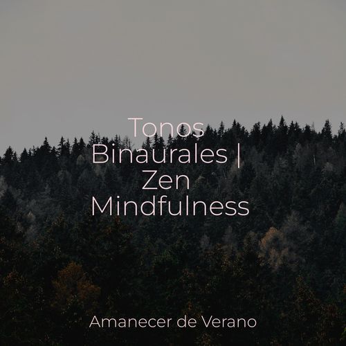 Tonos Binaurales | Zen Mindfulness