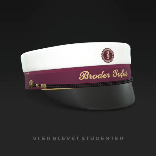 Vi Er Blevet Studenter cover art