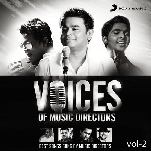 Voices of Music Directors: Vol.2