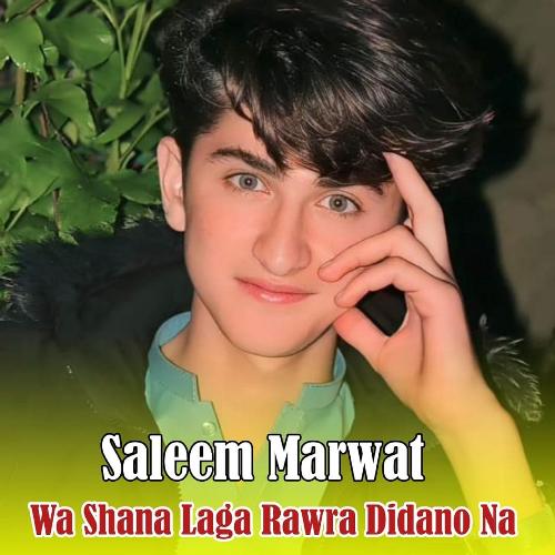 Wa Shana Laga Rawra Didano Na