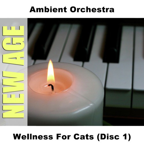 Wellness For Cats (Disc 1)
