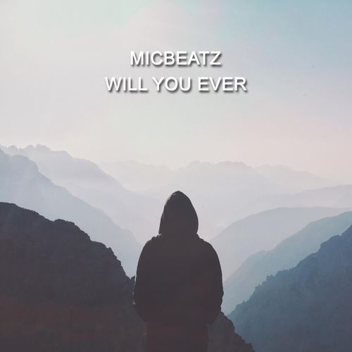 Will You Ever cover art