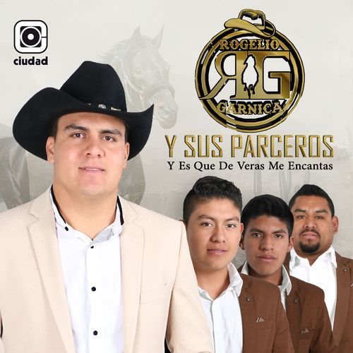 El Zorro cover art