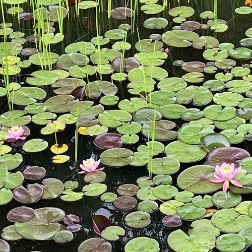 이겨내세요