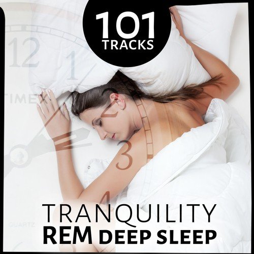 111 Tracks: Tranquility REM Deep Sleep, Therapy Music with Nature Sounds for Trouble Sleeping, Relaxing Lullabies, New Age Background Music