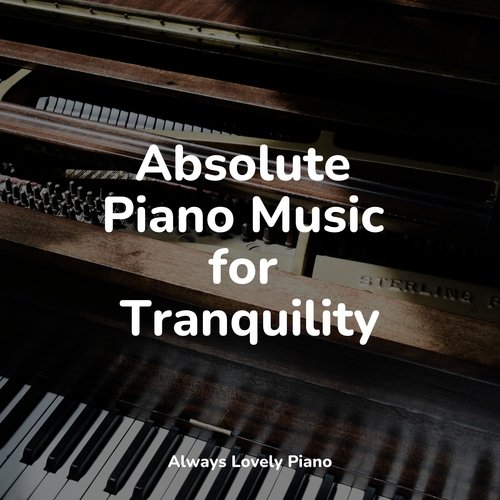 #2022 50 Beautiful Piano Pieces for a Restful and Focused Study