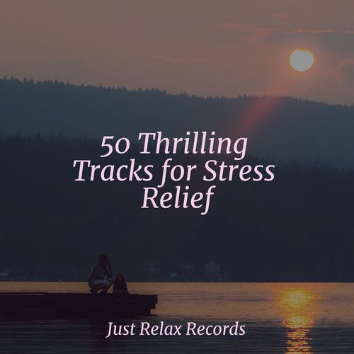 50 Thrilling Tracks for Stress Relief