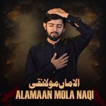 Alamaan Mola Naqi | Noha Mola Ali Naqi