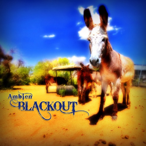 Blackout cover art
