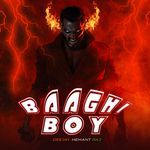 Baaghi Boy