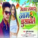 Bhatar Langra Aam Chusavela