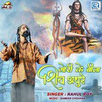 Gauri Ke Bina Shiv Adhure