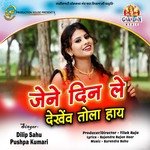 Jene Din Le Dekhew Tola Hay (Chhattisgarhi Geet)