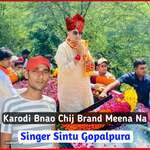 Karodi Bnao Chij Brand Meena Na