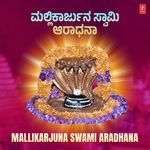 Mallikarjuna Swami Aradhana