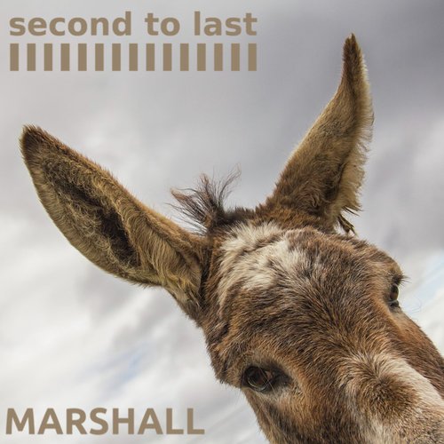 Marshall cover art
