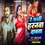 Re Sakhi Haranwa Dabata