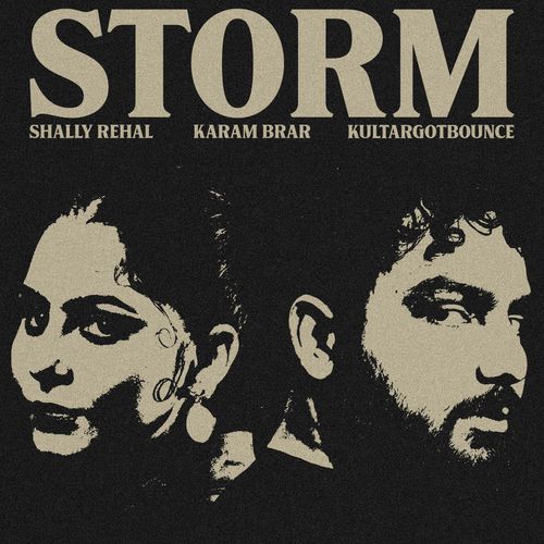 STORM cover art