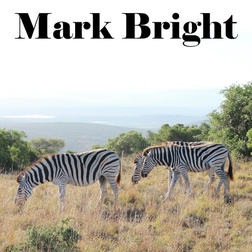 Mark Bright