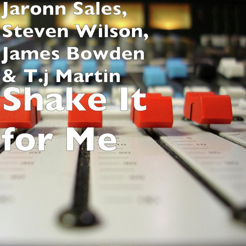 Shake It for Me_poster_image