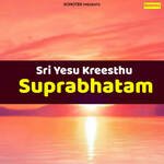 Goswami Maha Swami Part 7 artwork