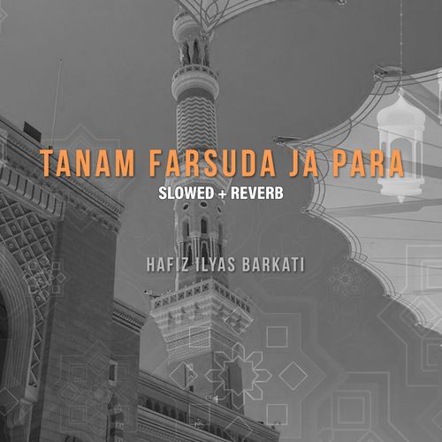 Tanam Farsuda Ja Para (Lofi-Mix)