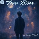 Tere Bina