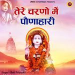 Tere Charno Main Ponahari