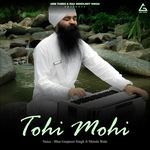 Tohi Mohi