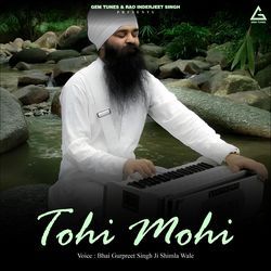 Tohi Mohi
