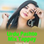 Urdu Pashto Mix Tappay