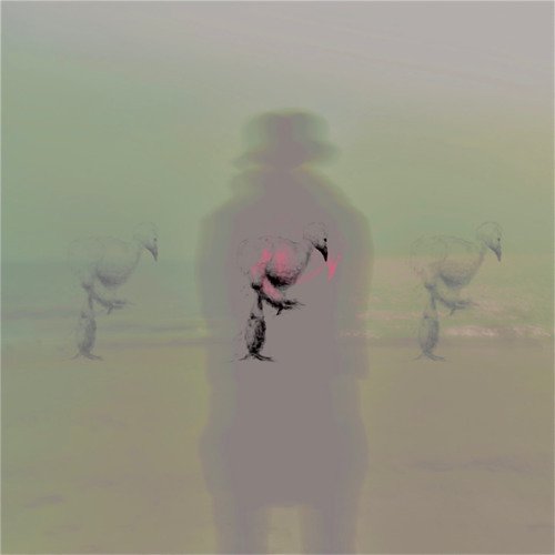 건물주의 아들 (with Claire Hau (클레어 하우), Paloalto)